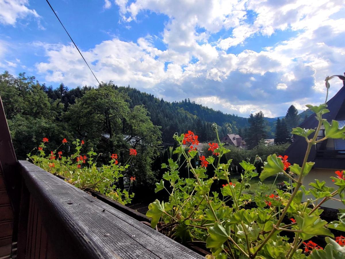 Rezydencja Lesny Dwor Piwniczna-Zdroj Exterior foto