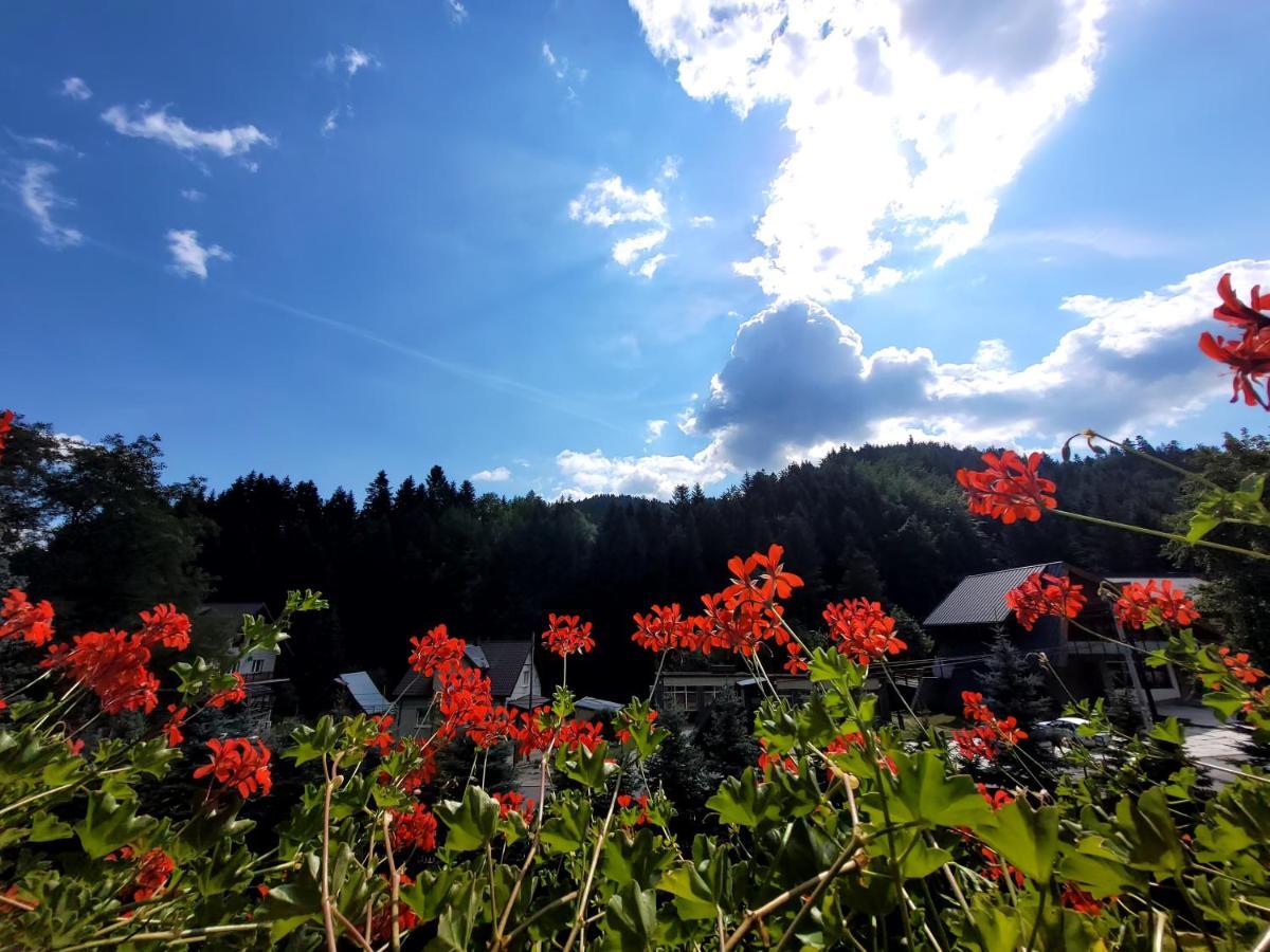 Rezydencja Lesny Dwor Piwniczna-Zdroj Exterior foto