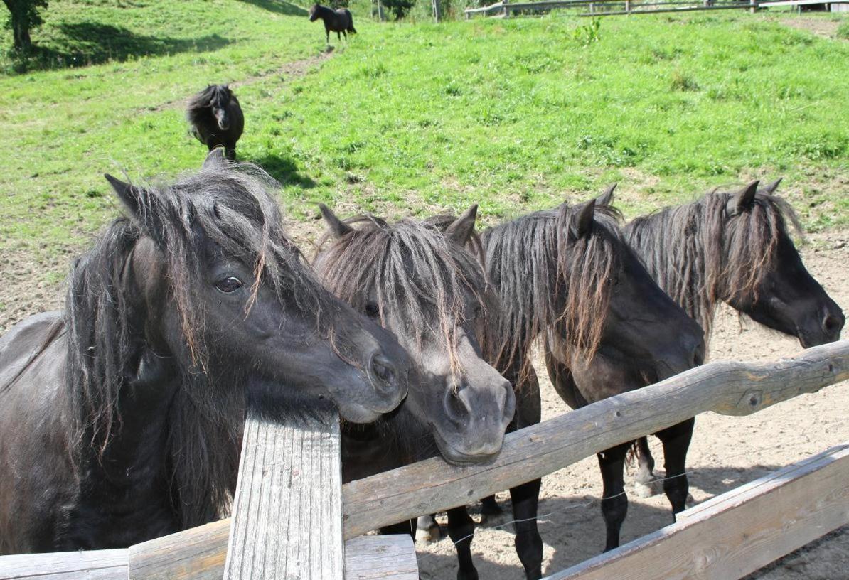Rezydencja Lesny Dwor Piwniczna-Zdroj Exterior foto