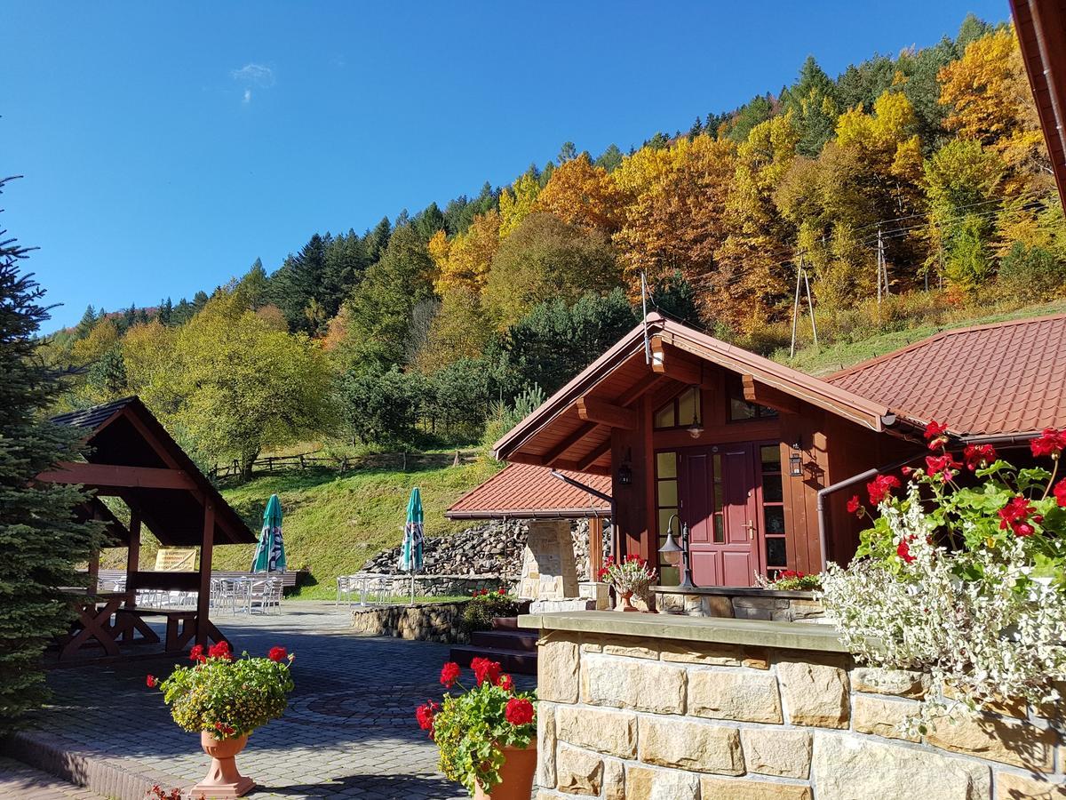 Rezydencja Lesny Dwor Piwniczna-Zdroj Exterior foto