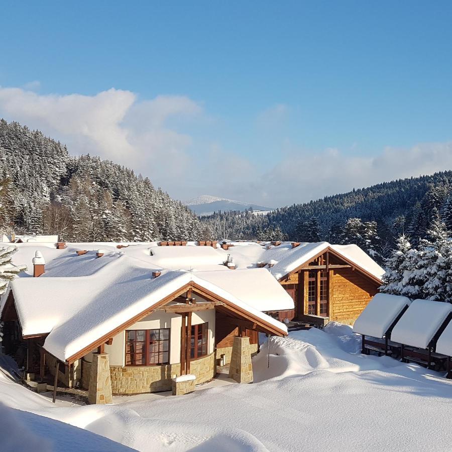 Rezydencja Lesny Dwor Piwniczna-Zdroj Exterior foto